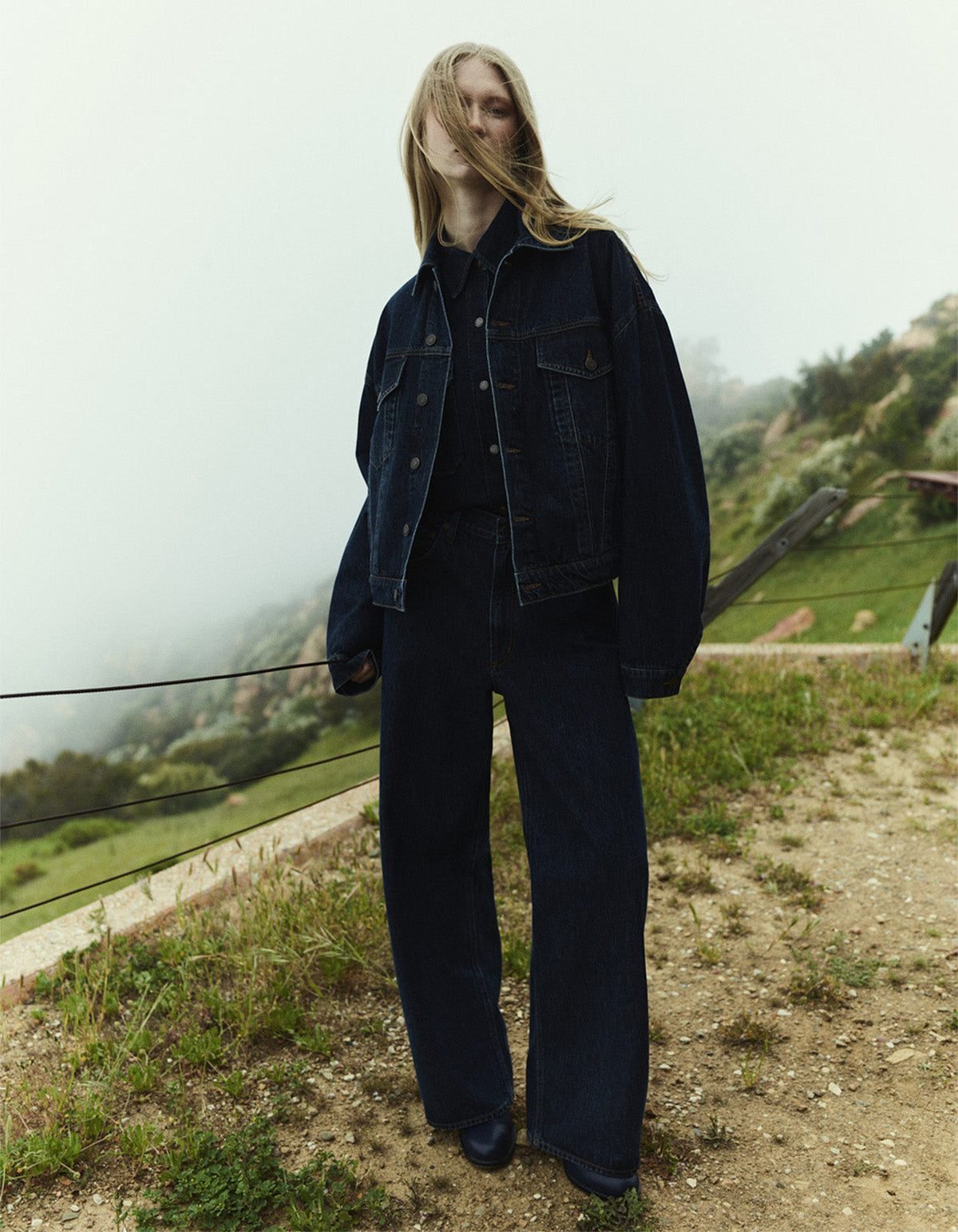 Low Curve Jean - Pendulum